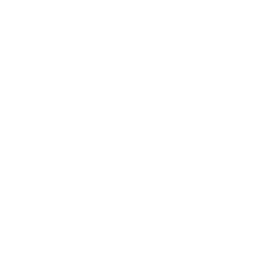 Armes à feu