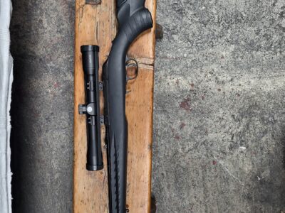 Ruger Rimfire Compact .17 HMR