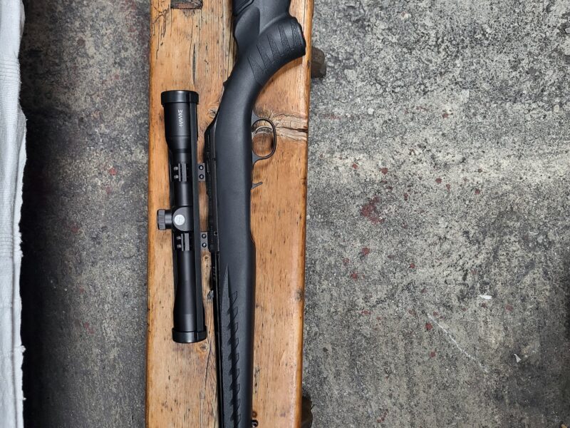 Ruger Rimfire Compact .17 HMR