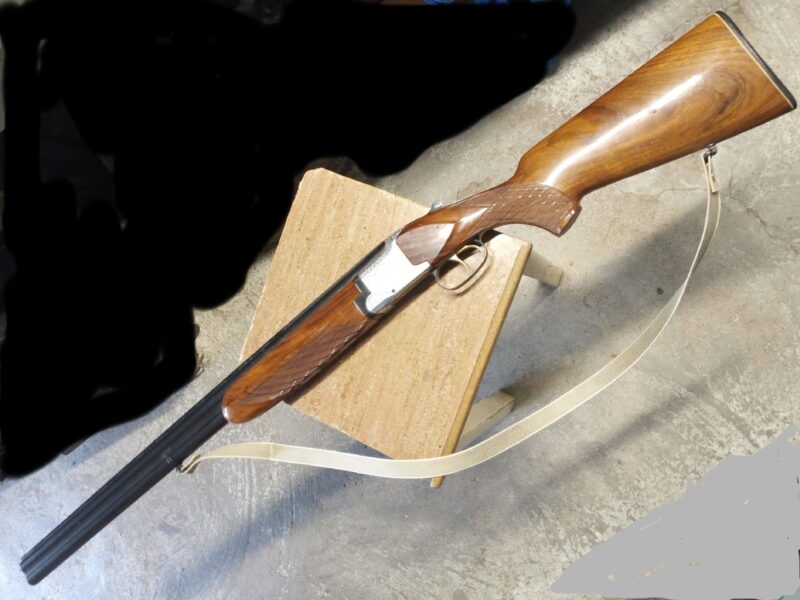 Fusil de chasse